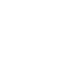  TRAIN — Perfect the Reps